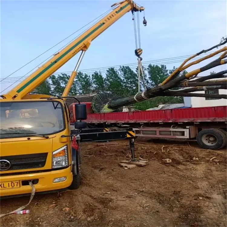 阳日镇100吨吊车租赁费用怎么算？3大关键因素+省钱技巧全解析